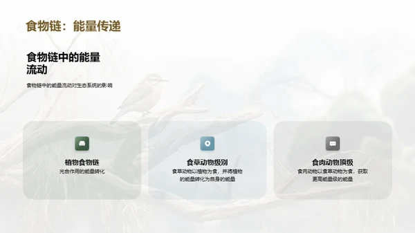 水墨风教育培训教学课件PPT模板