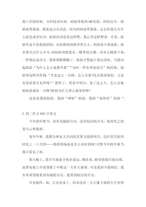 初二作文600字范文(5篇).docx