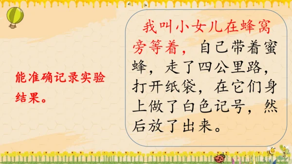 14《蜜蜂》课件