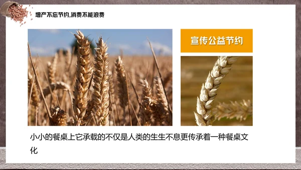 节约粮食光盘行动教学PPT课件