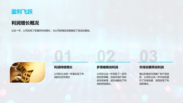 财务年度回顾