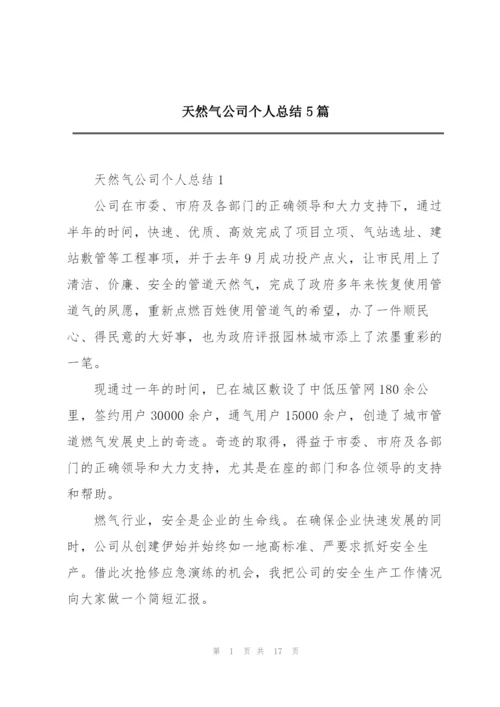 天然气公司个人总结5篇.docx