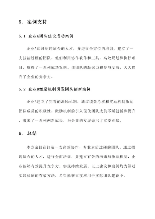 企业发展打造的团队方案