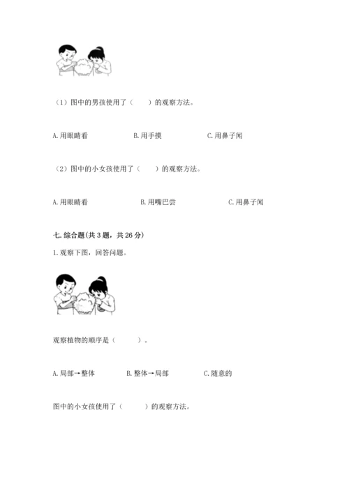 教科版科学一年级上册第一单元《植物》测试卷附完整答案（网校专用）.docx
