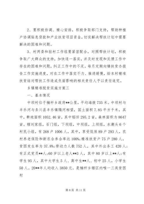 乡镇精准脱贫实施方案.docx