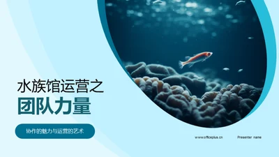 水族馆运营之团队力量