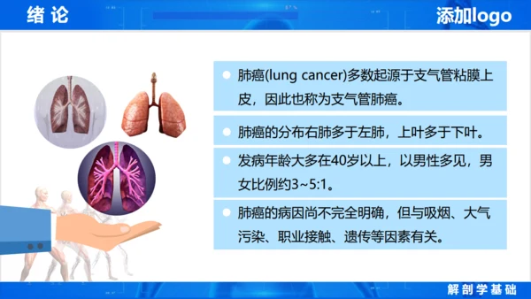 人体奥秘医学解剖学学术论文通用PPT模版