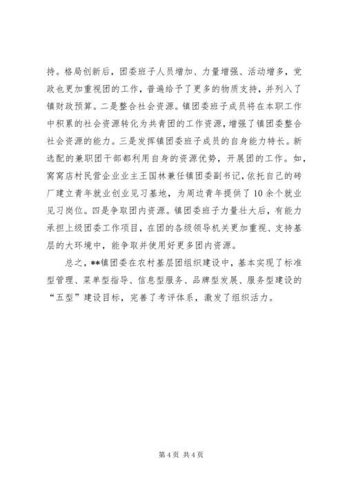 基层团组织建设自查报告 (3).docx