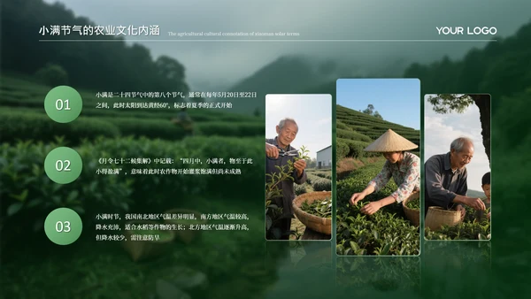 绿色小满节气的农业文化内涵PPT模板