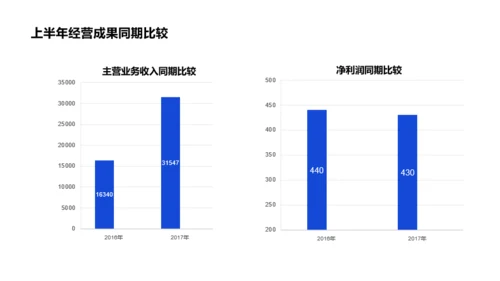 最新财务部半年度工作总结PPT案例