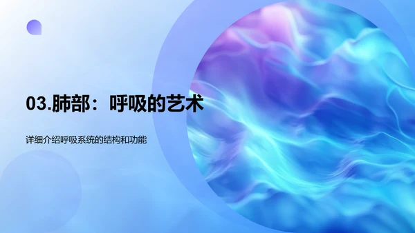 人体器官系统讲解