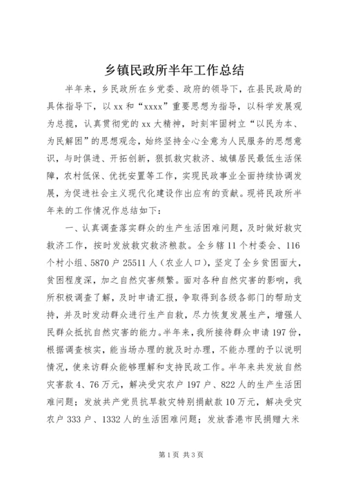 乡镇民政所半年工作总结.docx