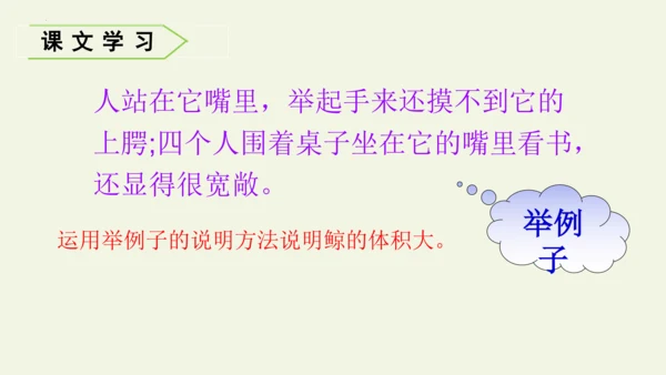 部编版 五年级语文上册第五单元习作例文 《鲸》（课件）