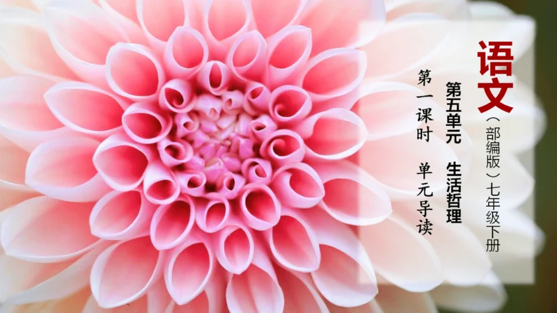 第1课时 生活哲理-单元导读-教学课件-【大单元教学】2022-2023学年七年级语文下册同步备课系