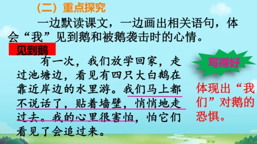18 牛和鹅   课件