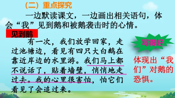18 牛和鹅   课件
