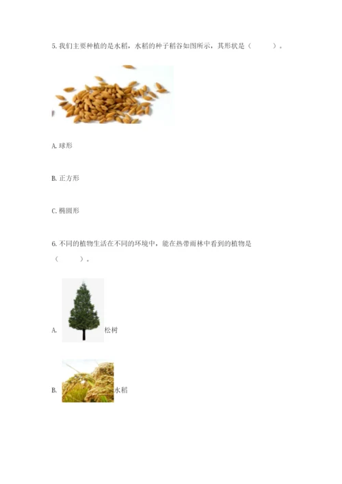 科学四年级下册第一单元植物的生长变化测试卷精品（巩固）.docx