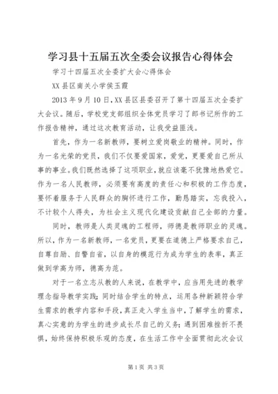 学习县十五届五次全委会议报告心得体会 (3).docx