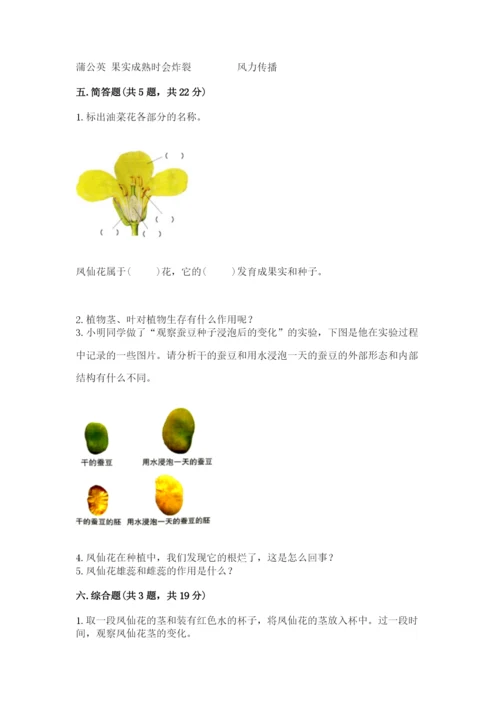 科学四年级下册第一单元《植物的生长变化》测试卷word.docx