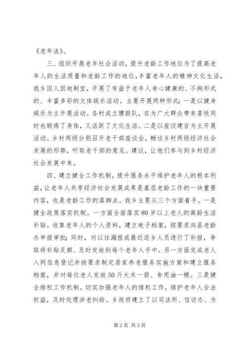 乡镇老龄工作自查工作总结.docx