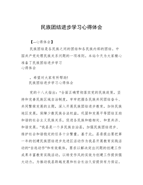 民族团结进步学习心得体会.docx