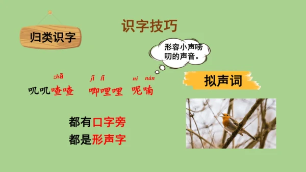 21.《大自然的声音》 课件（2课时）