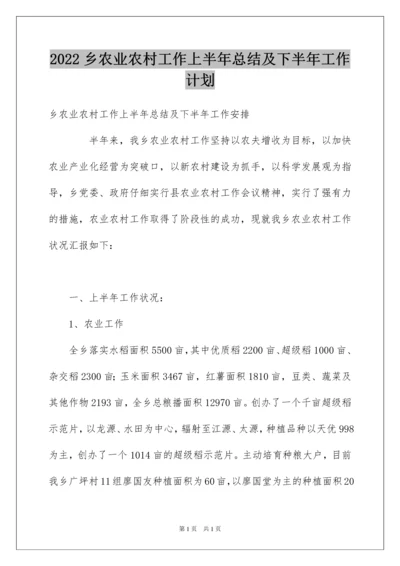 2022乡农业农村工作上半年总结及下半年工作计划.docx