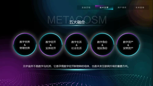 VR元宇宙互联网用户分析报告通用PPT模板