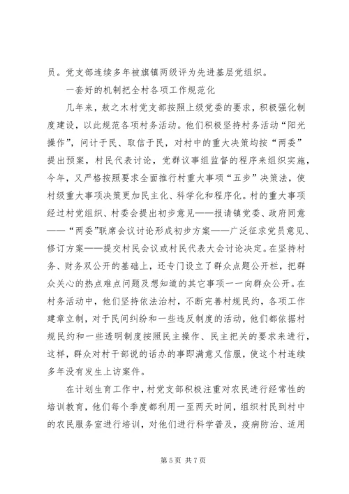 村党支部经验材料 (5).docx