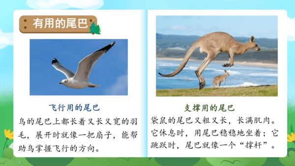 课文6《比尾巴》（教学课件）