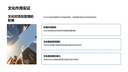 项目管理与企业文化