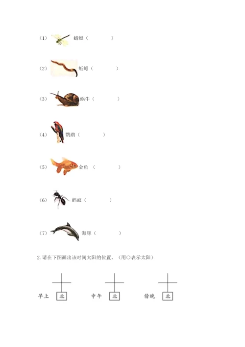 教科版二年级上册科学期末考试试卷及参考答案ab卷.docx