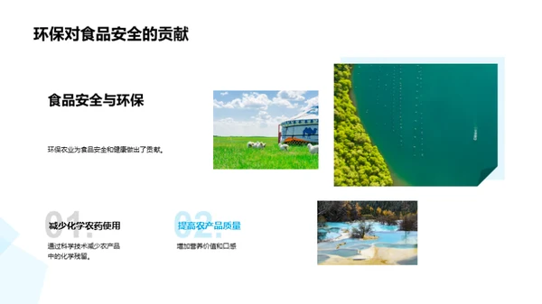 绿色之路：XX农业的环保探索