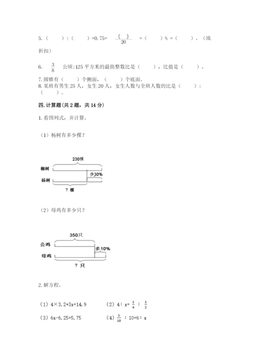 嵩明县六年级下册数学期末测试卷（名校卷）.docx