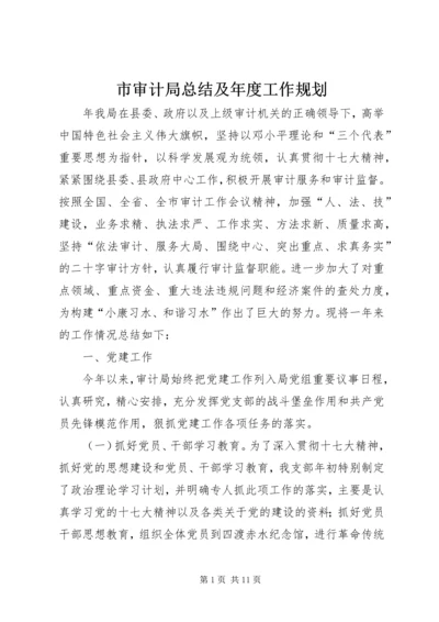 市审计局总结及年度工作规划.docx