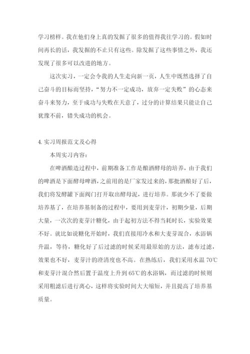 实习周报范文及心得【五篇】.docx