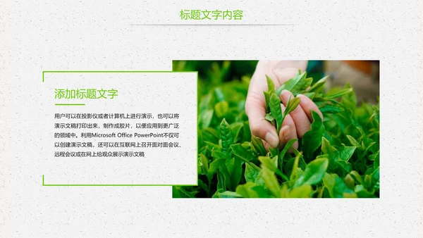 唯美绿色茶园茶文化品茶论道PPT模板