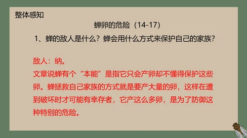 八年级下册蝉课件PPT模板