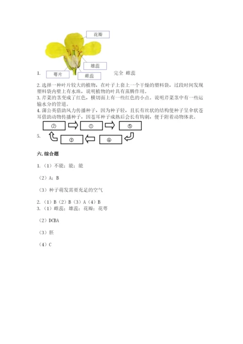 科学四年级下册第一单元《植物的生长变化》测试卷附答案（考试直接用）.docx