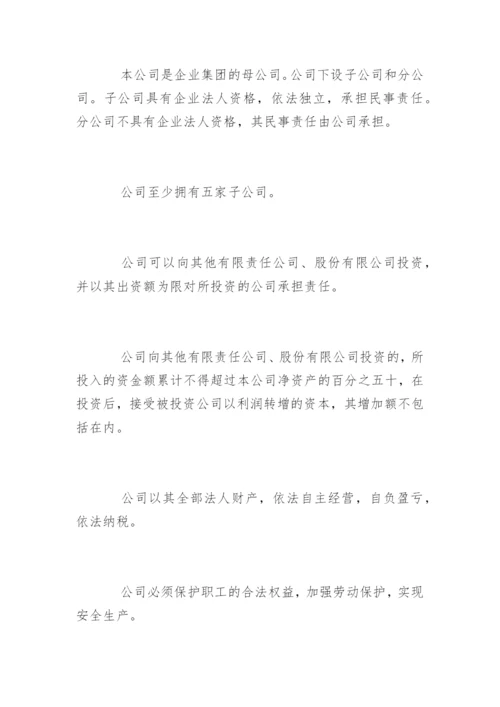 集团公司章程.docx