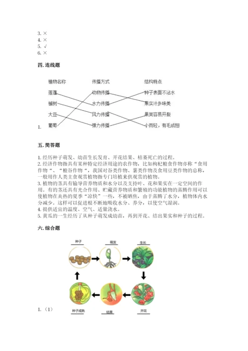 教科版四年级下册科学第一单元《植物的生长变化》测试卷【综合卷】.docx