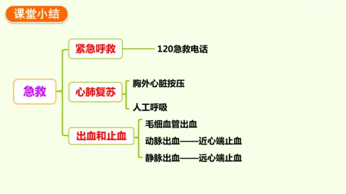 8.2用药与急救-八年级生物人教版下学期同步精品课件(共38张PPT)
