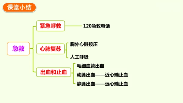 8.2用药与急救-八年级生物人教版下学期同步精品课件(共38张PPT)