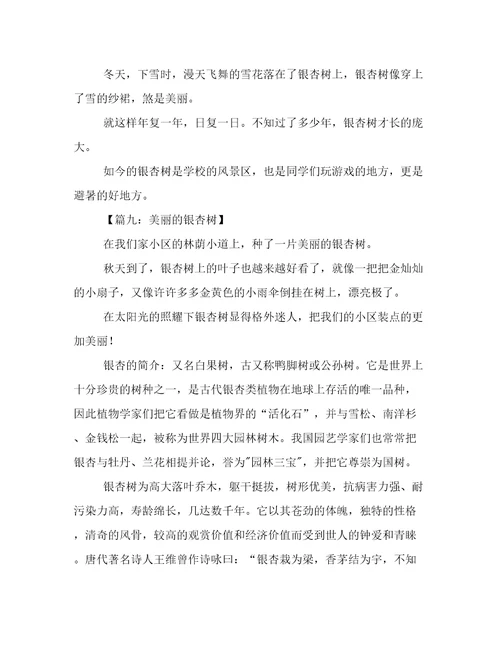 关于美丽的银杏树作文