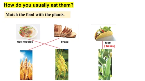 Unit 6 The power of plants 第3课时 Developing ideas课件