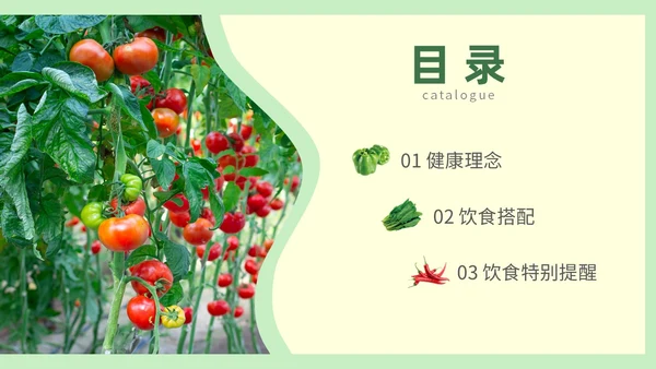绿色简约蔬菜水果饮食与健康知识培训ppt健康饮食