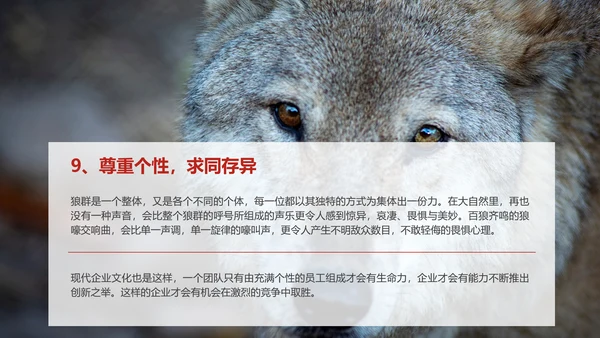 团队企业文化狼性文化员工培训PPT