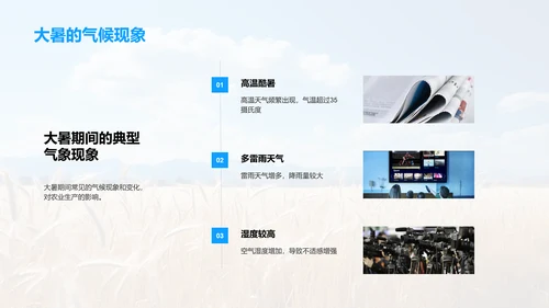 大暑农业生产