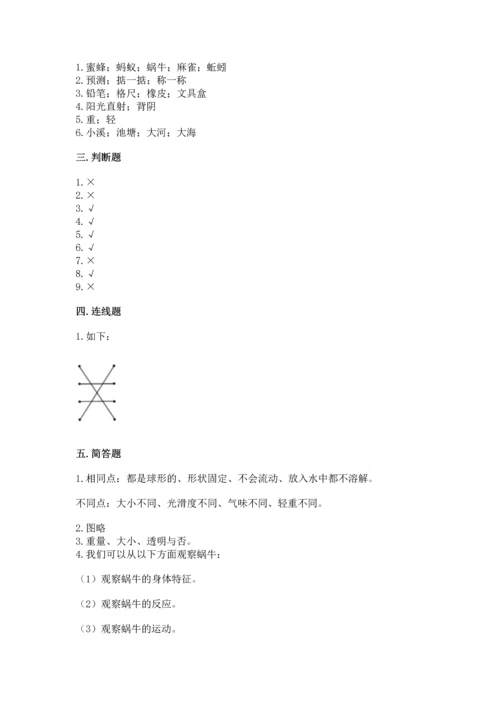 教科版一年级下册科学期末测试卷精品【典型题】.docx