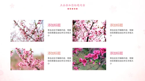 粉红唯美关爱女性健康妇联工作汇报PPT模板